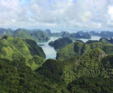Explore an untouched wonderland at Cat Ba National Park