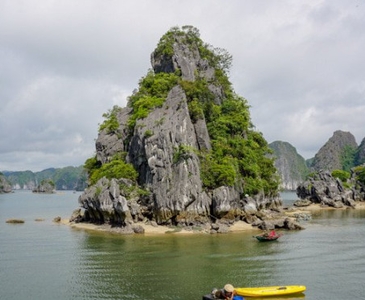 Discovering the Best Tour Company in Cat Ba: Your Ultimate Guide