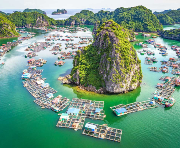 Explore Lan Ha Bay: Discover Vietnam’s Serene Island Paradise