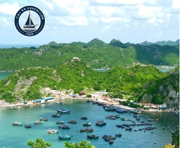 Ecotourism in Cat Ba: A Sustainable Escape to Nature