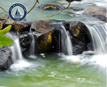 Suoi Goi Cat Ba: Explore the Hidden Jungle Stream