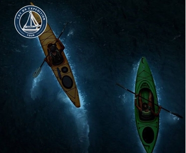 Cat Ba Plankton: Best Places and Time to See the Magical Glow