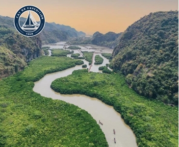 Phu Long Mangrove Forest: A Guide to Cat Ba’s Hidden Wetland