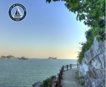 Cat Ba Itinerary 3 Days: Adventure And Relaxation Guide