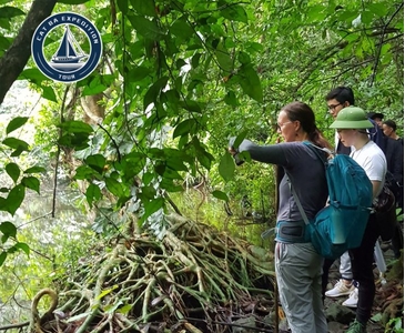 Kim Giao Forest Cat Ba Trek: Full Guide 2026