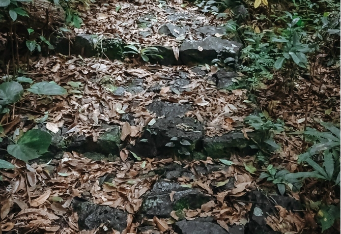 CAT BA</br>ONE DAY TREKKING