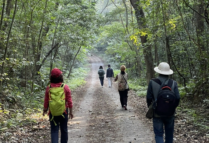 CAT BA</br>ONE DAY TREKKING