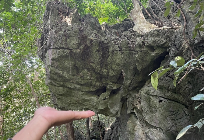 CAT BA</br>ONE DAY TREKKING