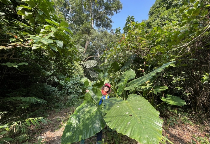 CAT BA</br>ONE DAY TREKKING
