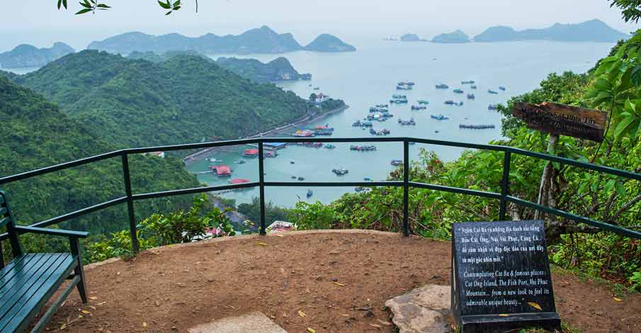 Hot Places in Cat Ba