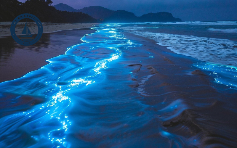 Discover Bioluminescent Waters in Lan Ha