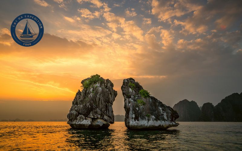 A Part of Ha Long Bay