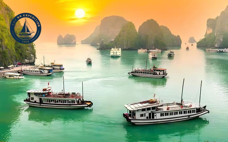 Choose Your Tour with Cat Ba Expedition