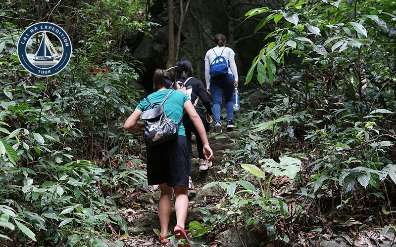 Visitors Experienced the Trekking Tour