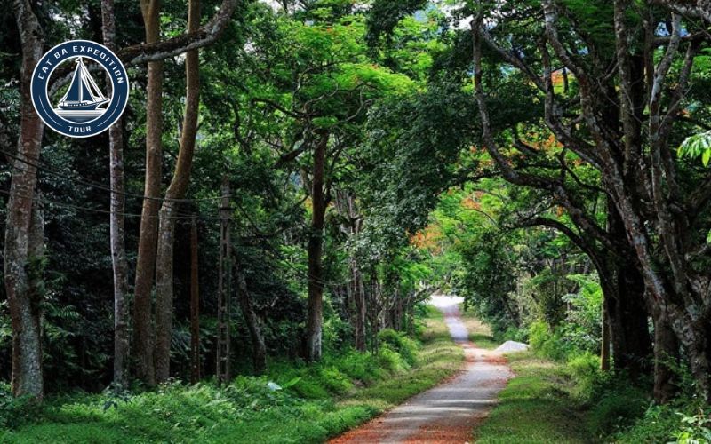 Join the Trekking Tour with Us!