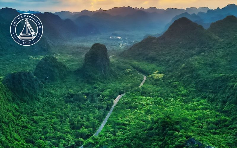 Cat Ba National Park