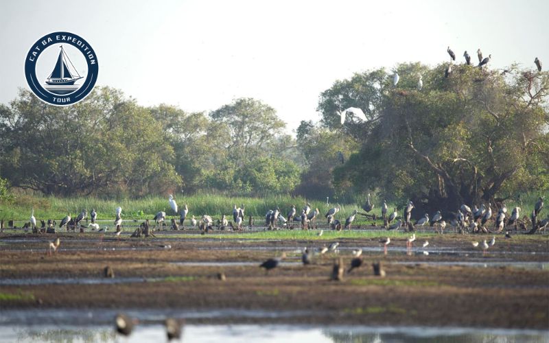 Tram Chim National Park