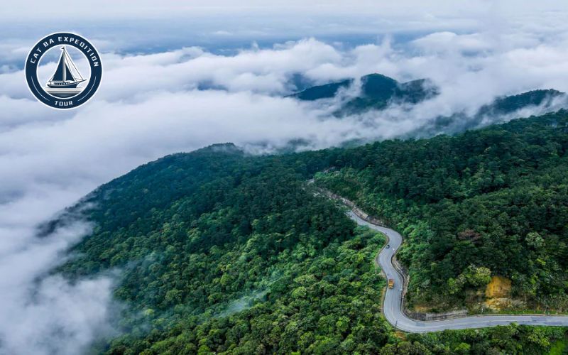 Tam Dao National Park