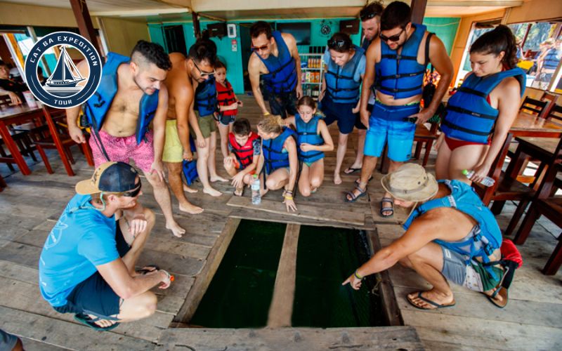 Discover How Local People Raise Fish