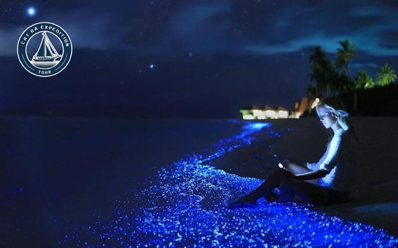 Explore with Cat Ba Expedition