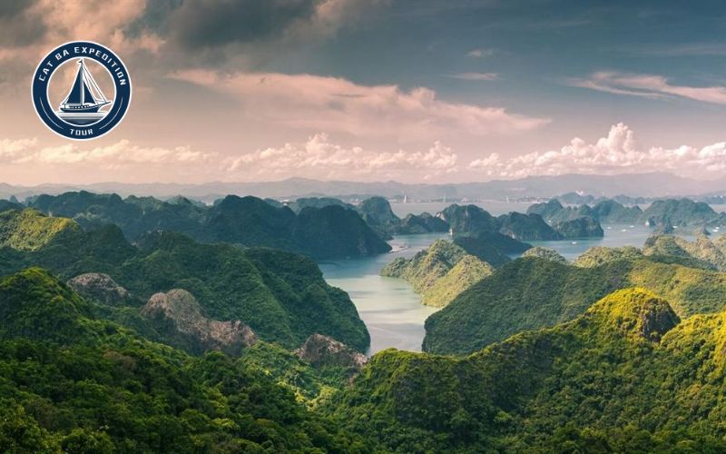 Best Time to Visit Cat Ba Island