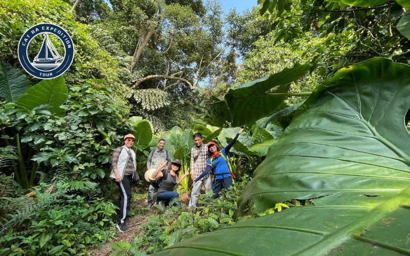 Trekking in Cat Ba National Park