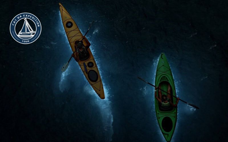 Tips for the Best Plankton Experience