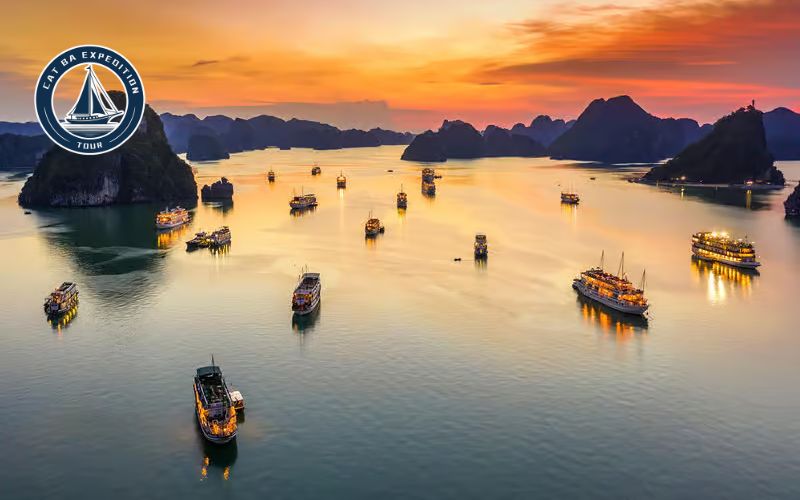 Cat Ba Expedition Cruise Options