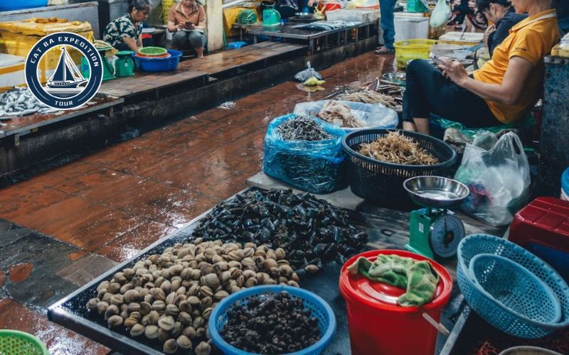 What to Buy at Cat Ba Market