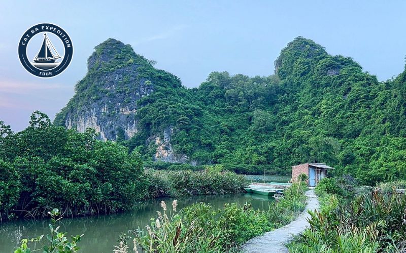 Why Visit Butterfly Valley Cat Ba?