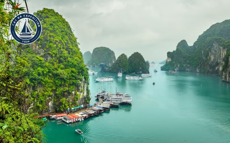 Travel Tips for Sapa to Cat Ba