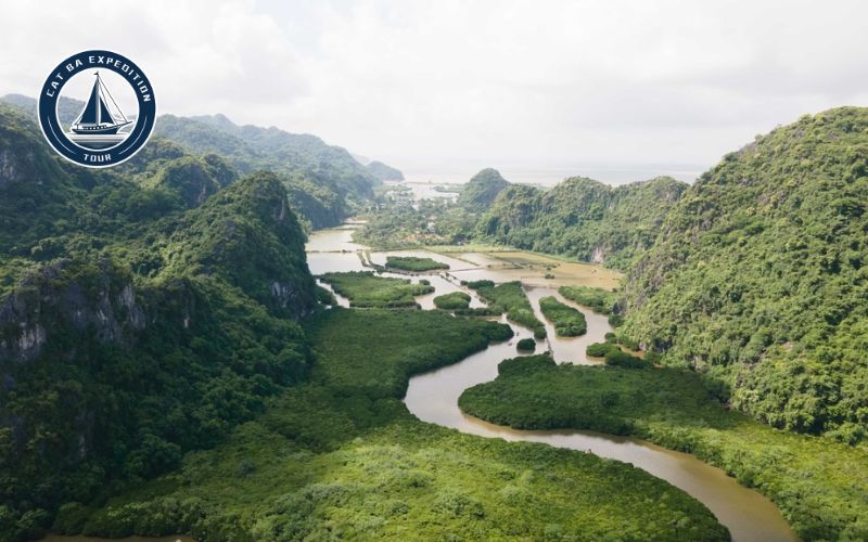 Where Is Phu Long Mangrove Forest