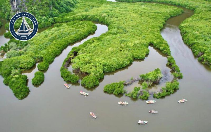 Ecosystem, Flora & Fauna of Phu Long