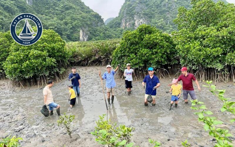 Experiences & Activities in Phu Long