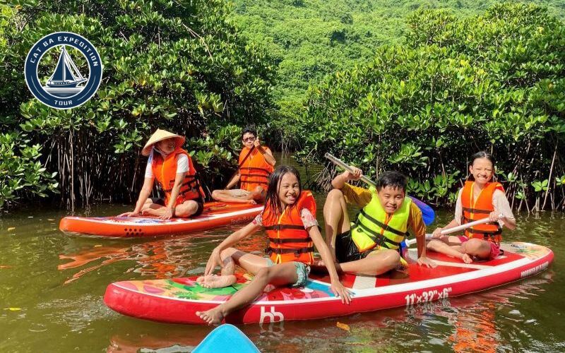 How to Book a Cat Ba Boat Without Stress
