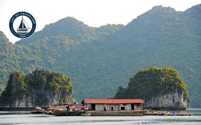 Weather in Cat Ba During Christmas