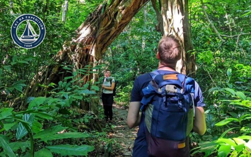 Choose Your Cat Ba Hiking Personality