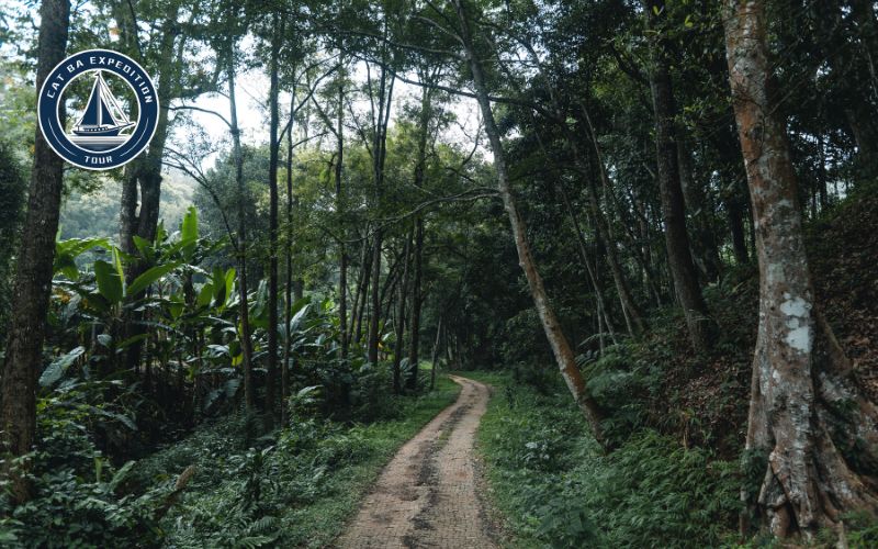 Signature Cat Ba Hikes You Should Not Miss