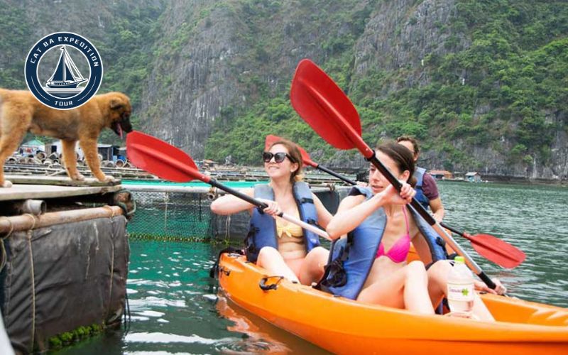 Best Cat Ba Kayak Adventures & Tours