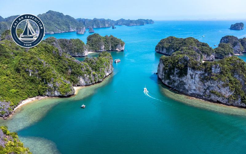 The Calm Before the Celebration