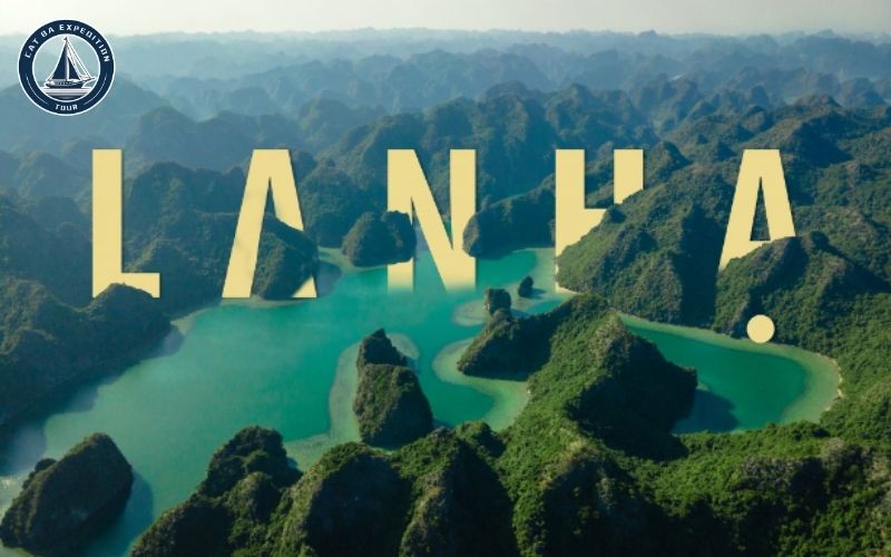 Why Choose a Lan Ha Bay Tour?