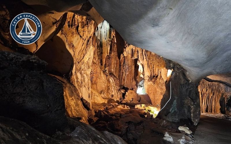 What Makes Trung Trang Cave So Special?