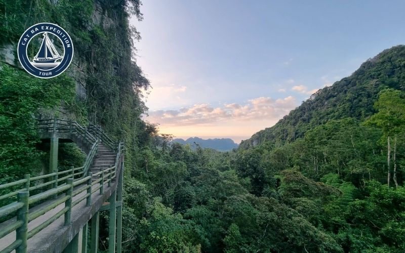 Best Time to Visit Trung Trang Cave