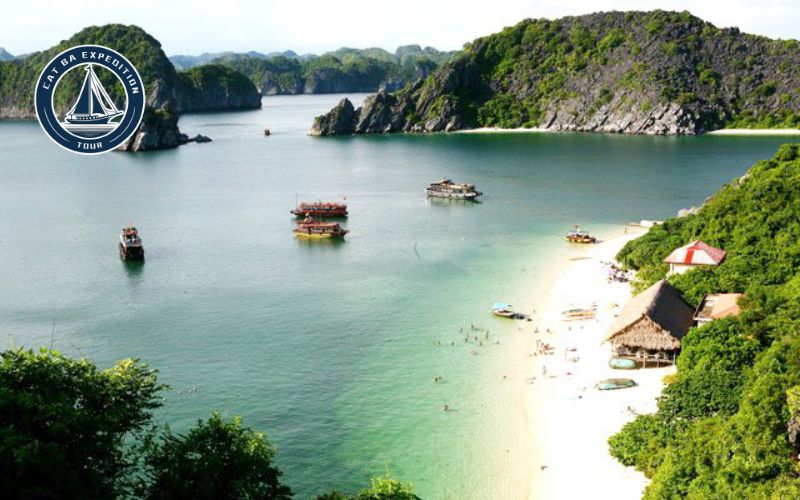 Best Time to Visit Beaches on Cat Ba Island