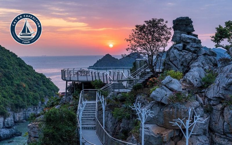 Best Things To Do at Night in Cat Ba