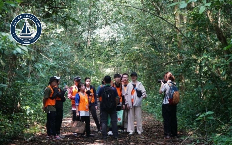 Trekking in Cat Ba National Park to Viet Hai Village
