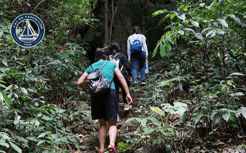 Trekking in Cat Ba National Park to Viet Hai Village