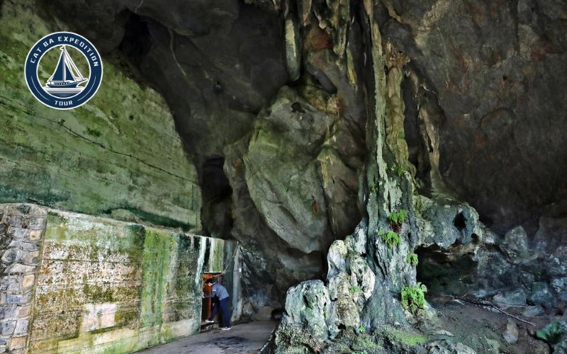 Why Cat Ba Island Caves Are Worth Visiting