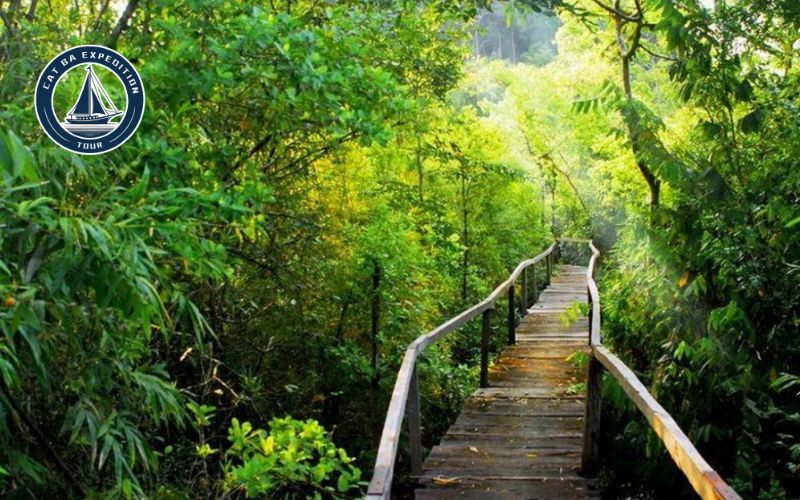 Cat Ba Trekking Tour With Guide