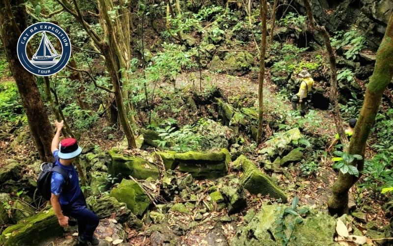 Why Choose A Cat Ba Trekking Tour With Guide